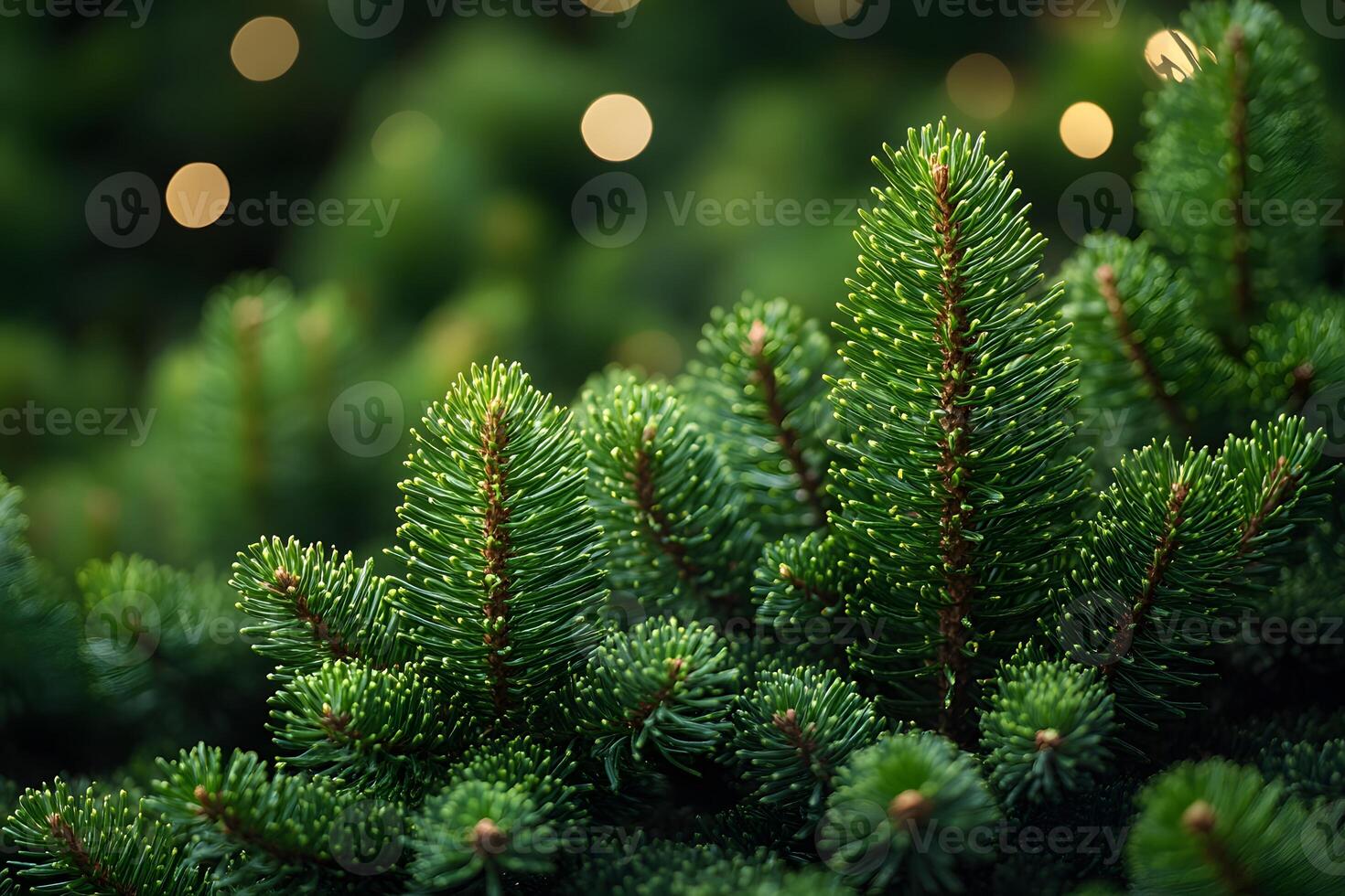 Luxurious Evergreen Pine Branches with Bokeh Lighting for Festive Holiday Decoration photo