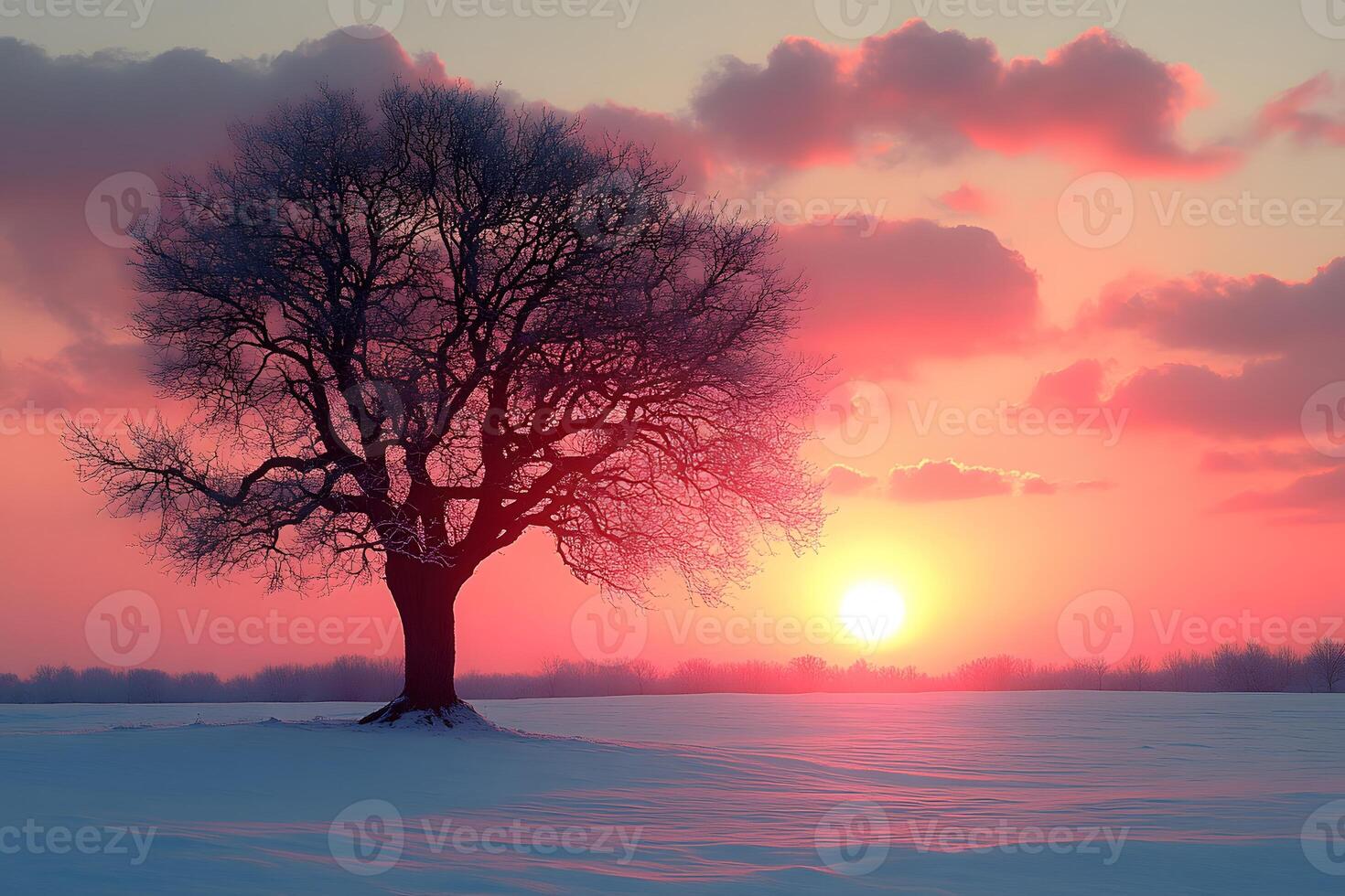 Solitary Tree at Sunset in Winter Landscape for Calming Nature Art Prints and Wall Decor photo