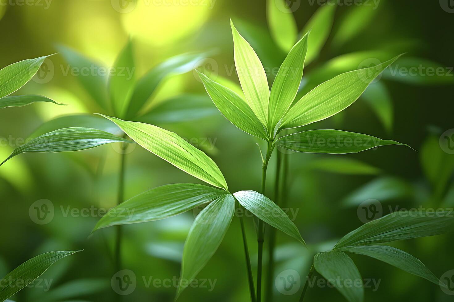 Vibrant Green Bamboo Leaves in Sunlight - Nature Photography for Home Decor and Design photo
