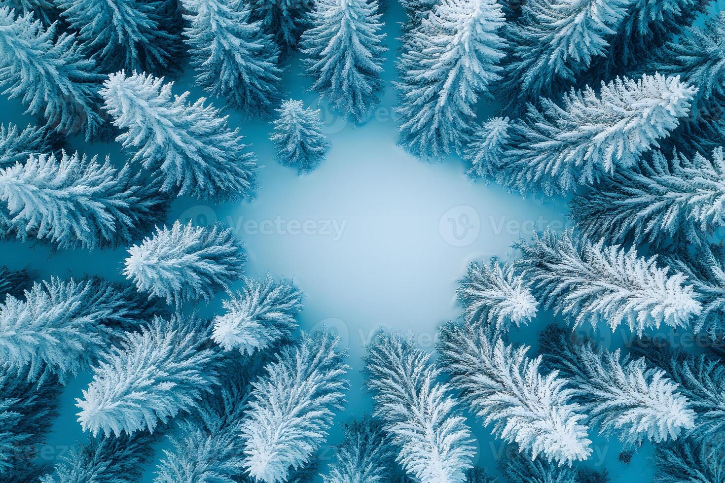 Aerial View of Frost-Covered Pine Trees Forming a Snowy Winter Wonderland Scene photo