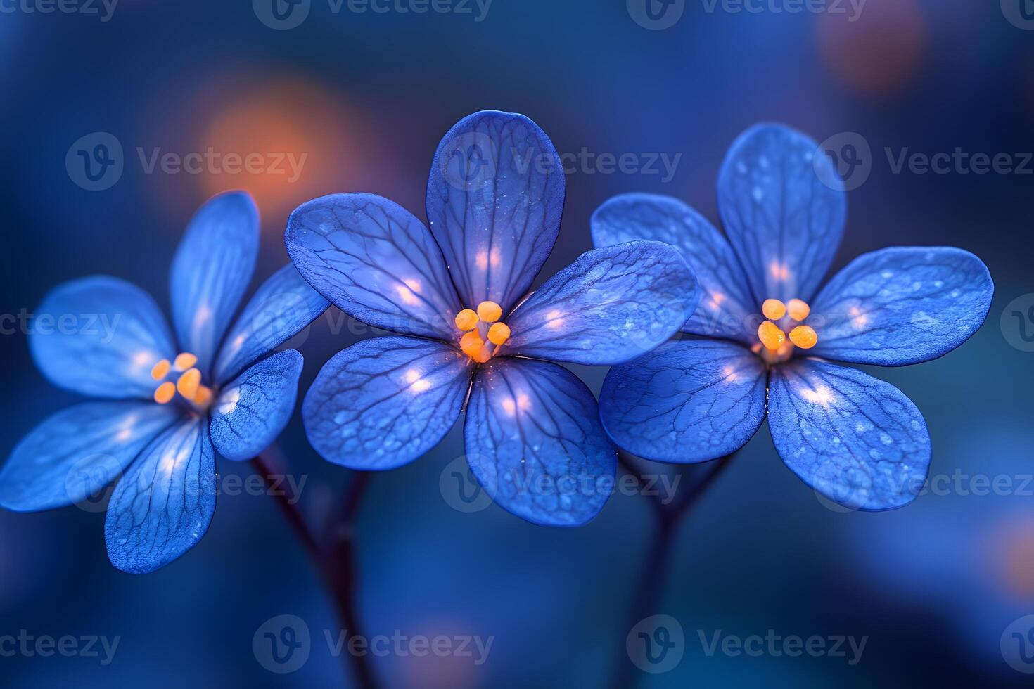 Tranquil Blue Flowers with Glowing Centers in Soft Focus for Nature-Themed Art and Design photo