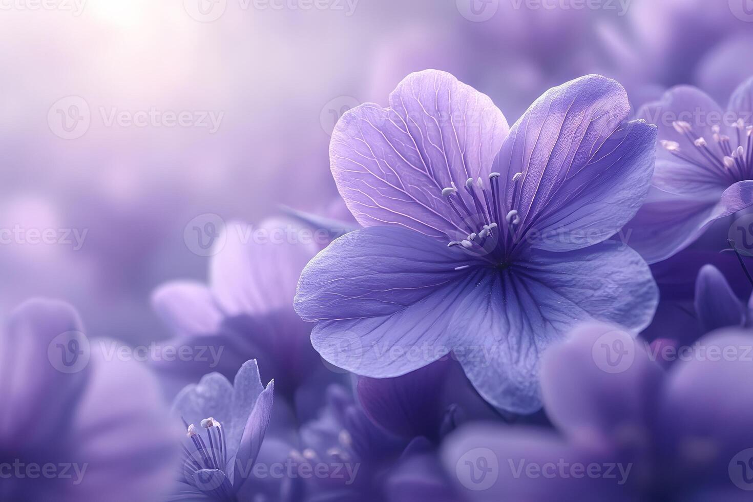 Dreamy Purple Blooms in Soft Focus for Tranquil Nature Design photo