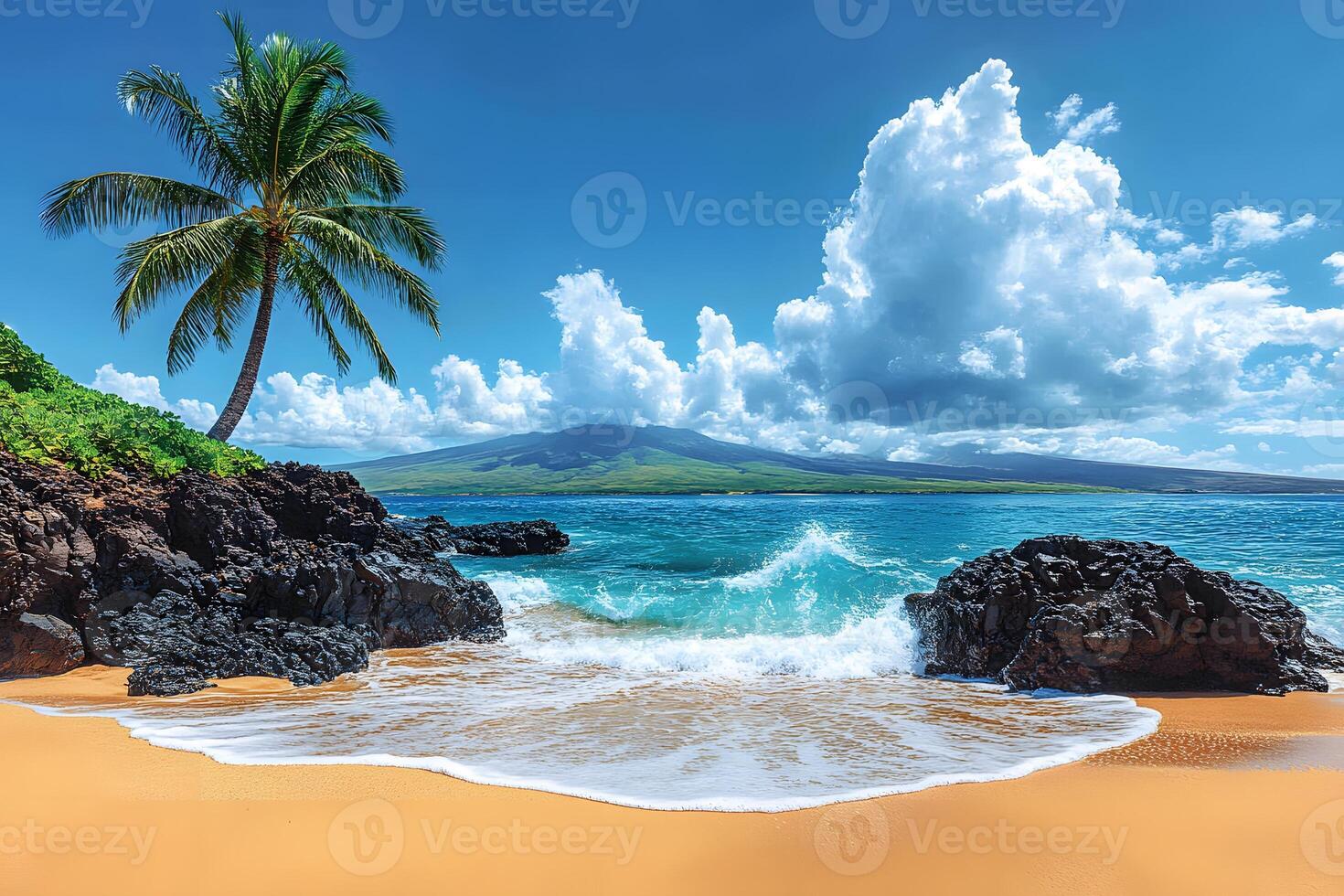 Tropical Paradise Idyllic Beach with Palms and Waves Perfect for Travel Posters photo