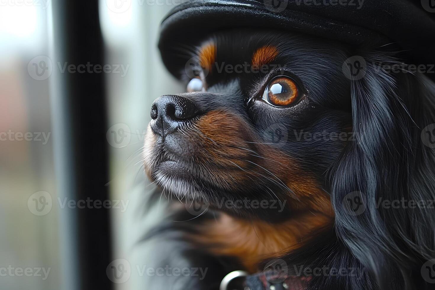 Thoughtful Dog in Hat Looking Out Window - Cozy Autumn Moments photo