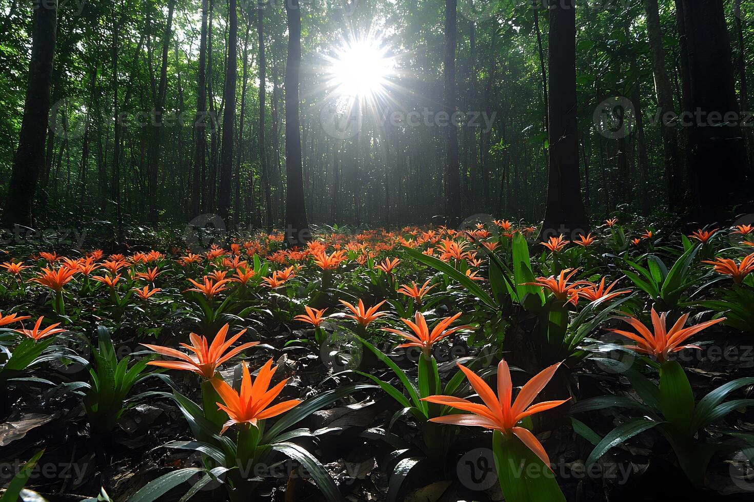 Serene Woodland Sunlight Illuminating Vibrant Orange Flowers in Forest Glade photo