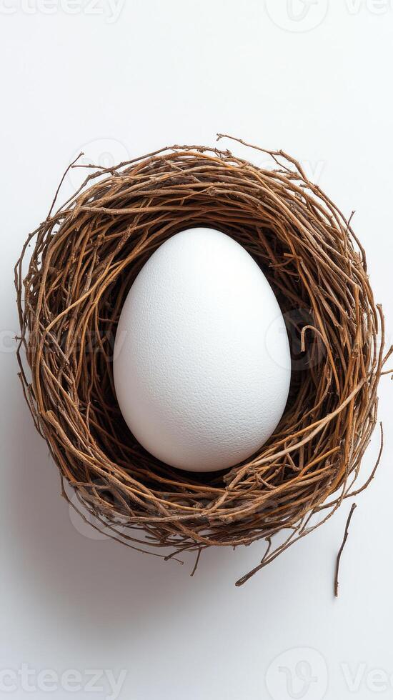 White egg resting in bird nest on white background photo