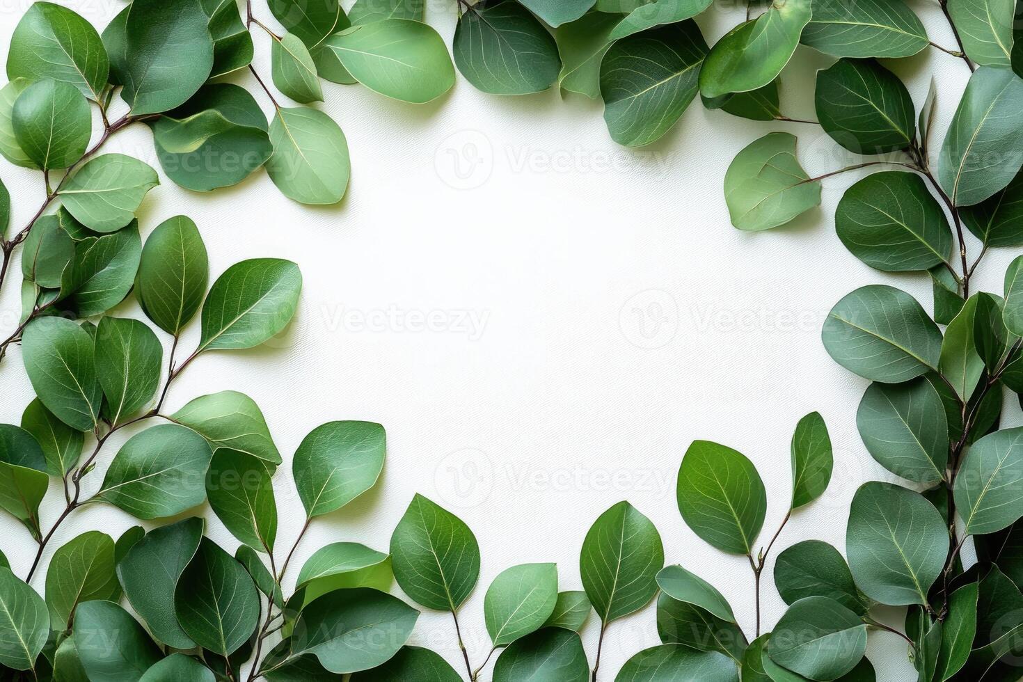 Green eucalyptus leaves creating a frame on white background photo
