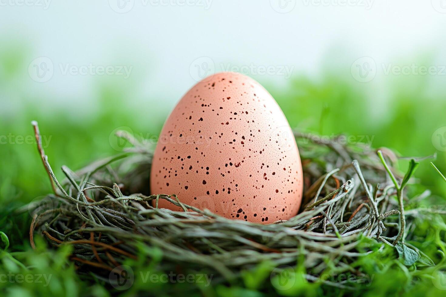 Easter egg resting in nest on grass with blurred green background photo