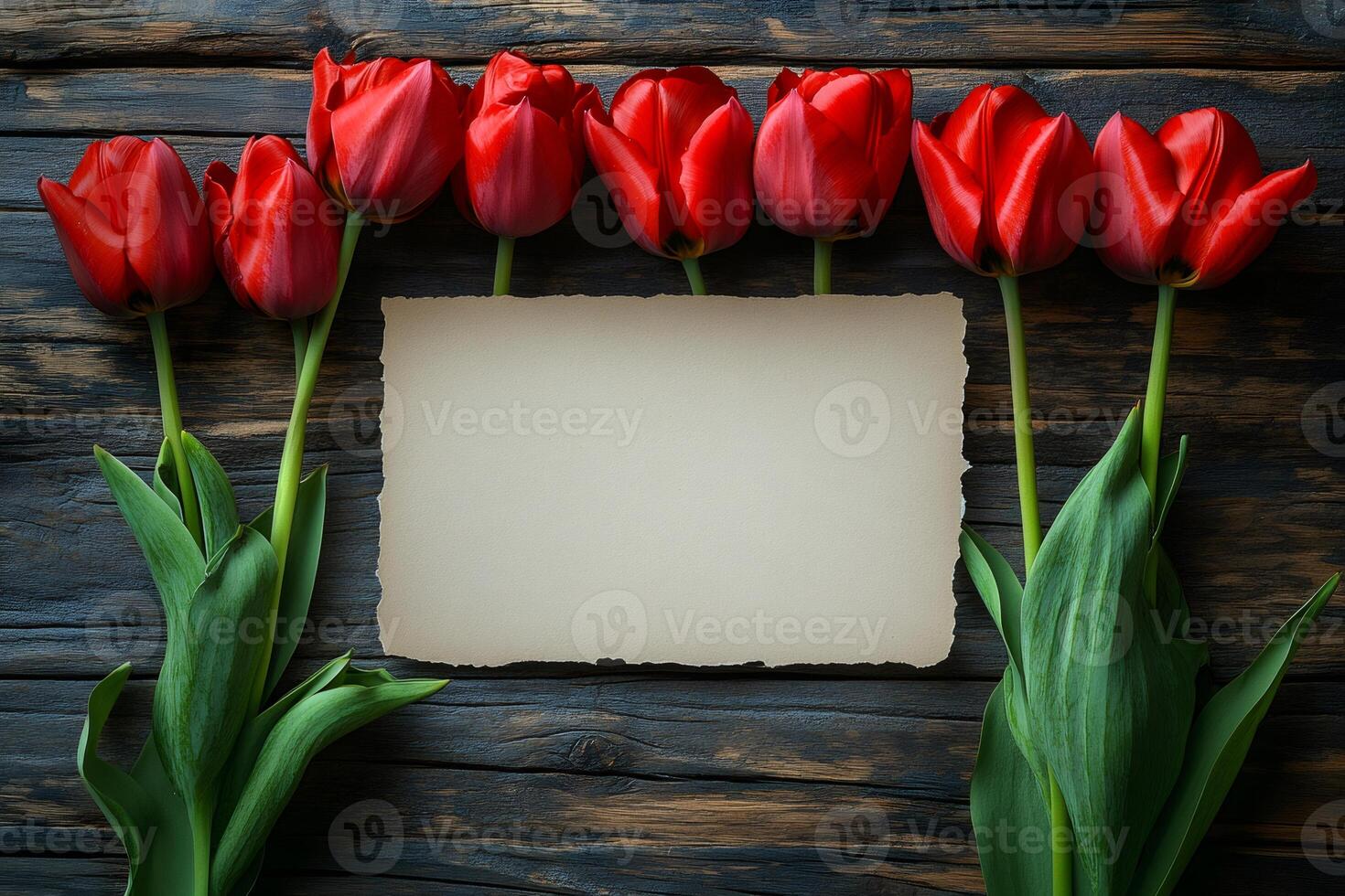 Row of red tulips framing old paper on rustic wooden background photo