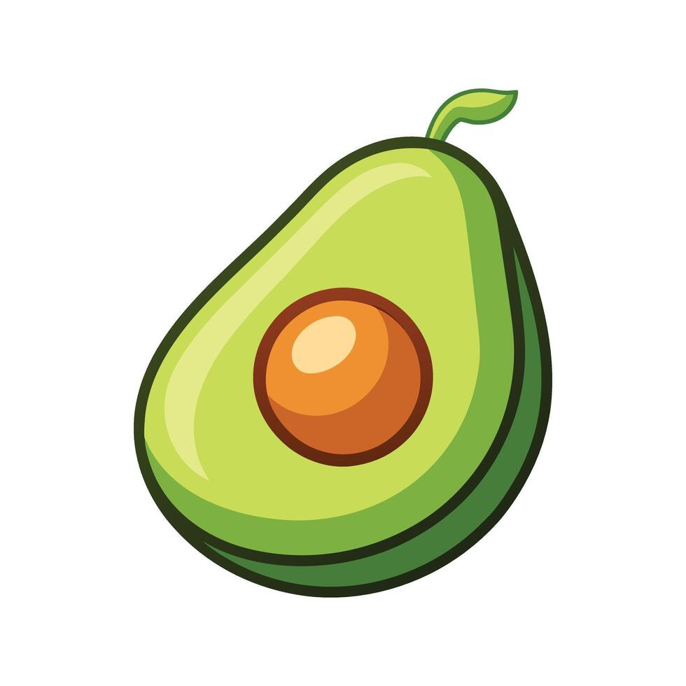 Tropical avocado half with large seed and bright green outer skin illustration vector
