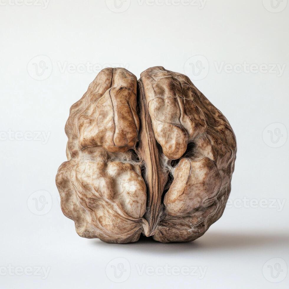 Unique walnut with distinct texture and natural patterns set against a plain background photo