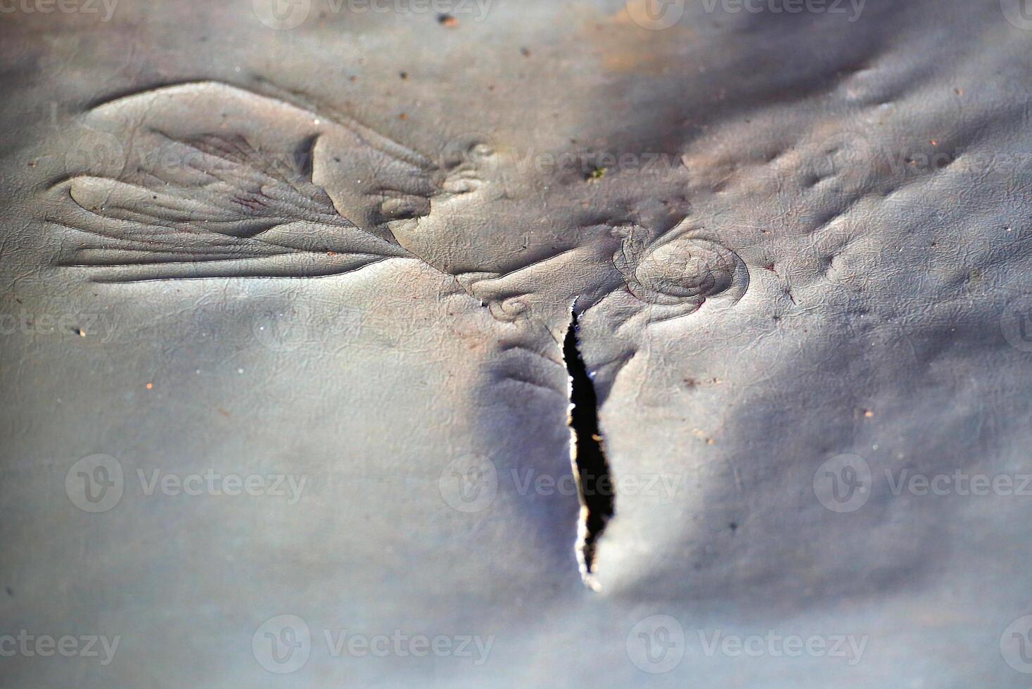 Details of torn leather structure resembling a flower photo