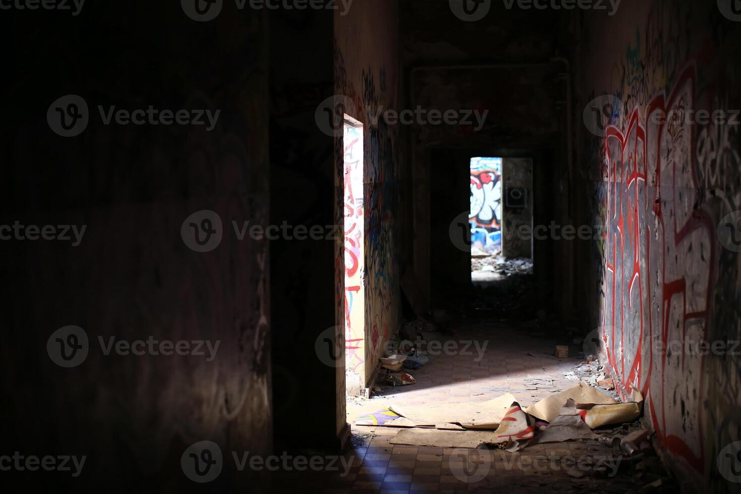 Dark and spooky hallway in a ruined building photo