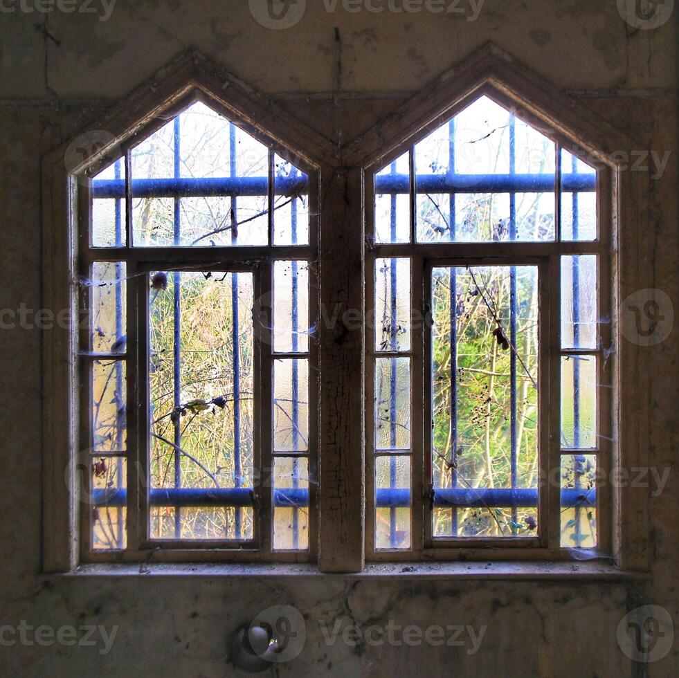 Two windows with bars and vines in an abandoned building photo
