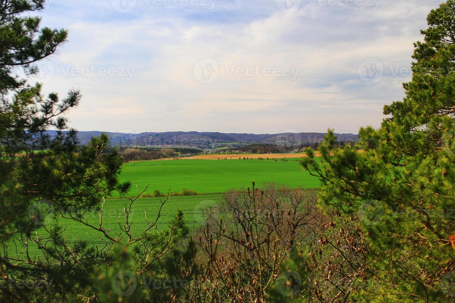 Scenic spring landscape near Langenstein at the Harz mountains in Germany photo