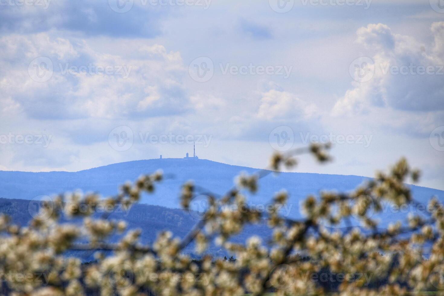 View to the mountain Brocken in Germany, with defocused cherry blossoms in foreground photo