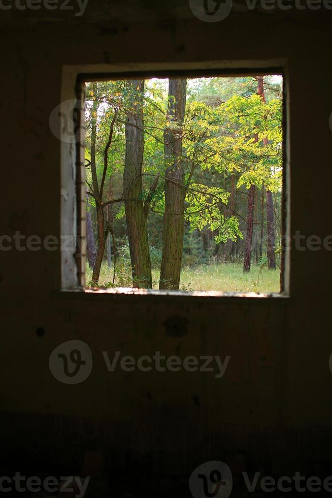 Looking out of a ruined room into the sunny forest photo