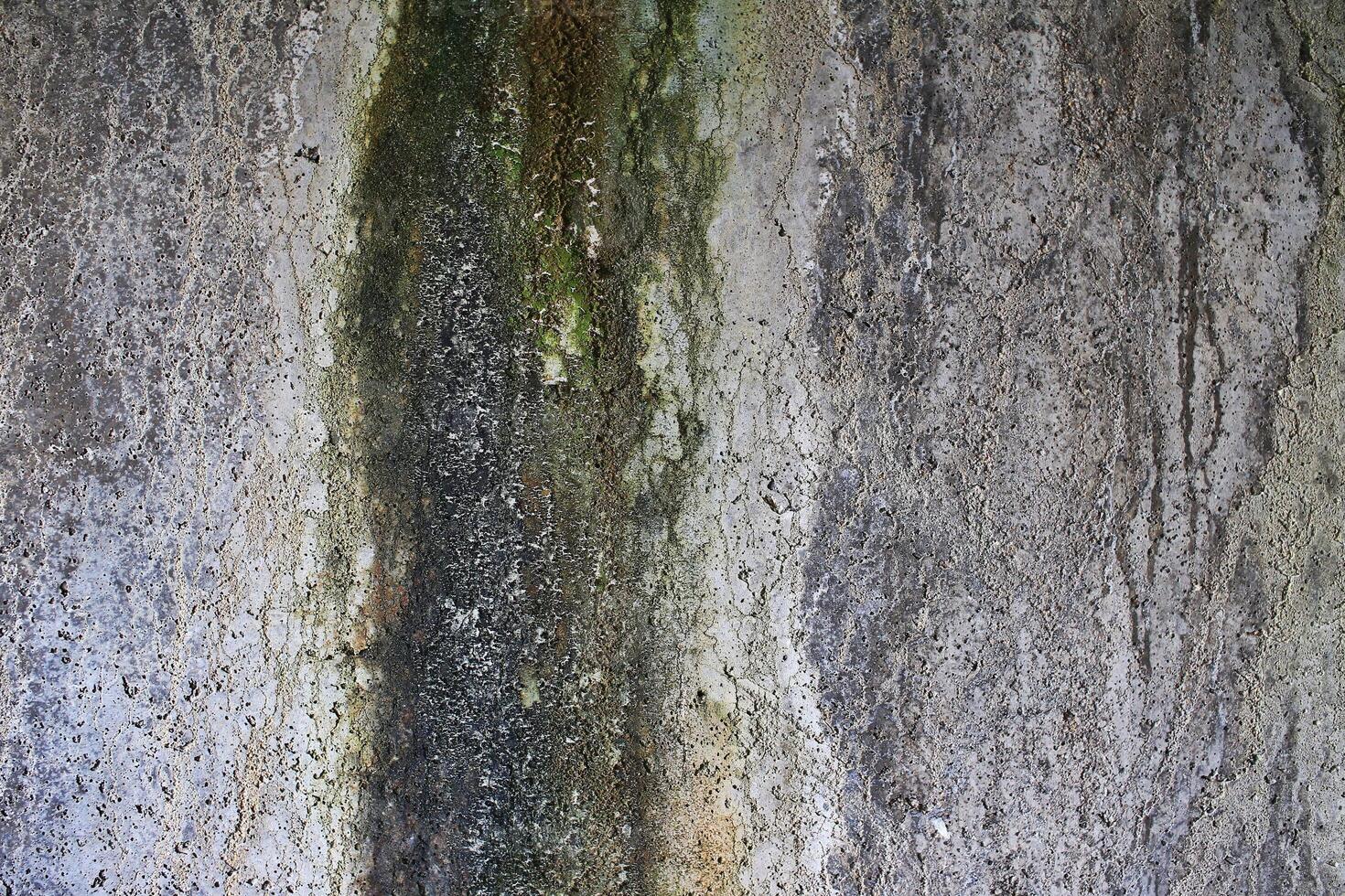 Weathered concrete texture with moss beginning to grow photo
