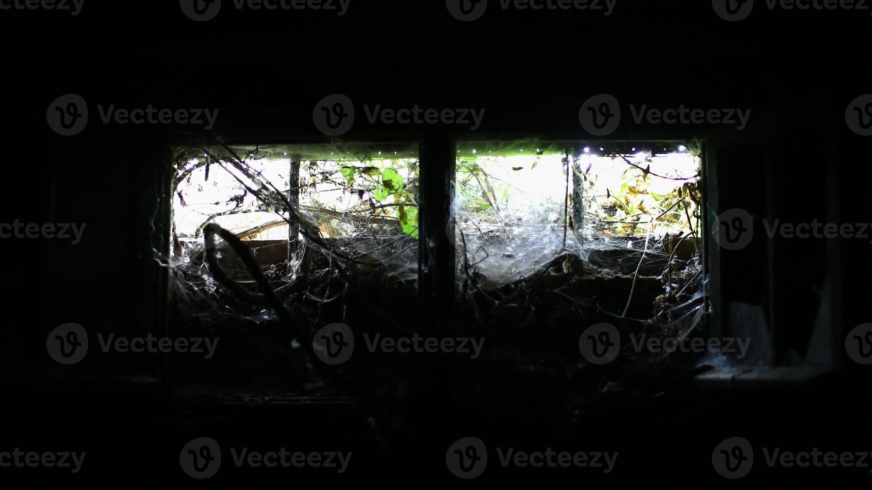 Little overgrown basement window with darkness all around photo