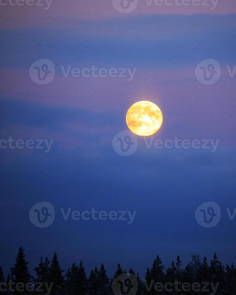 Rising full moon with tree silhouettes and clouds photo