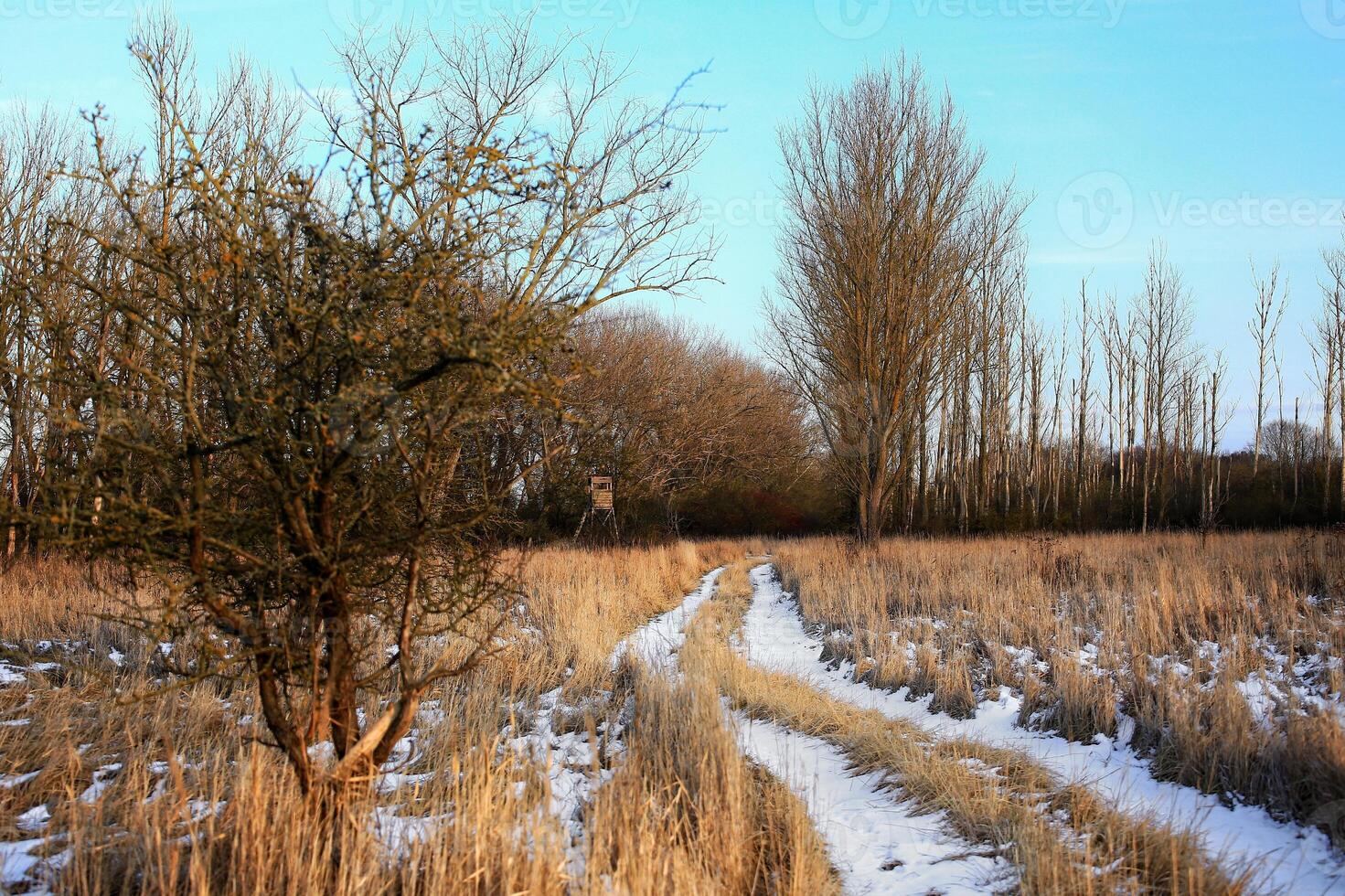 Winterly meadow in Germany with road and blue sky photo