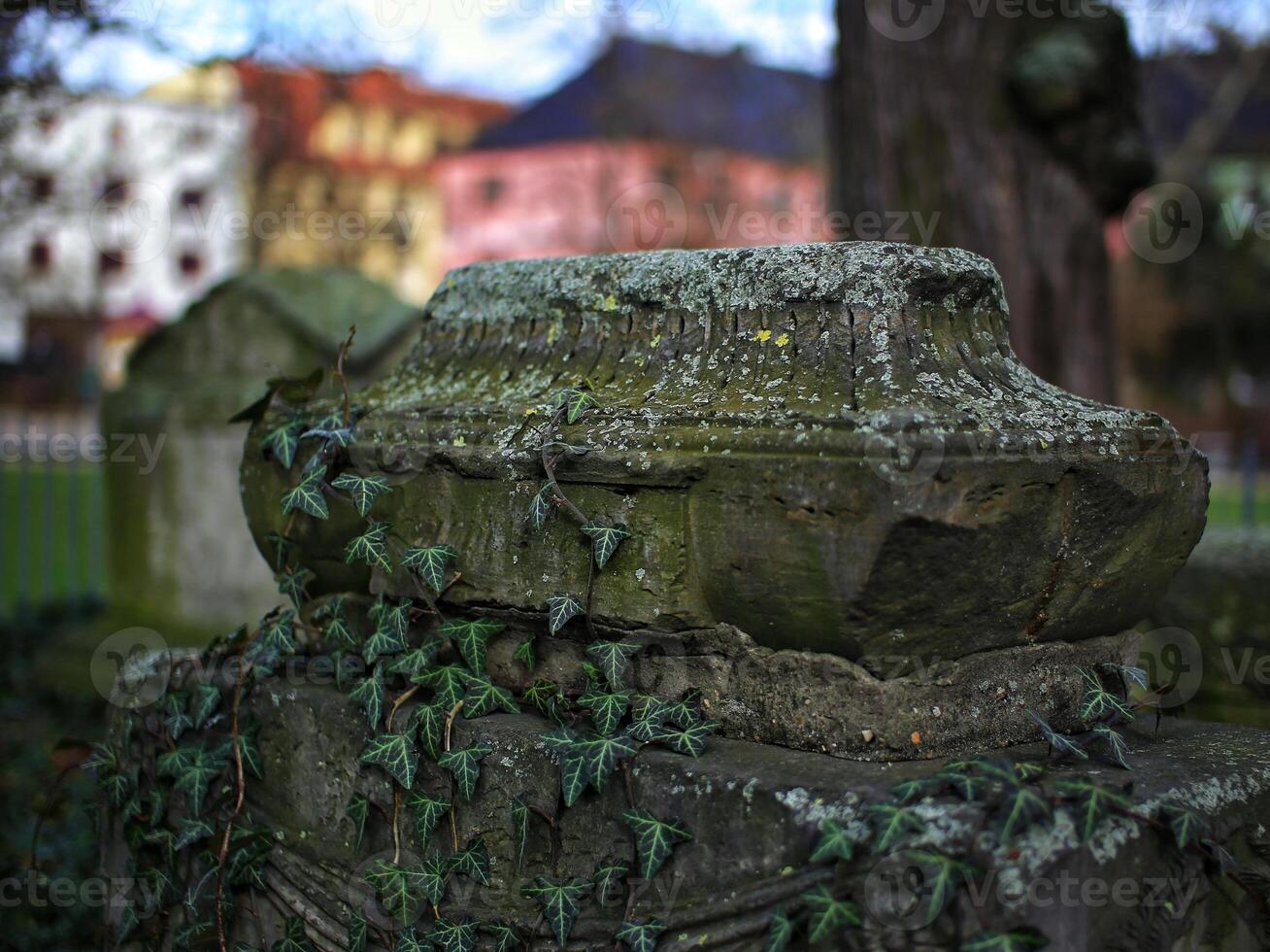 Ancient gravestone overgrown by ivy - a landmark in a public park in Germany photo