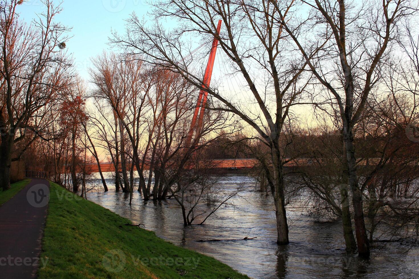 Riverbank and bridge over the river Elbe in Magdeburg during flood photo