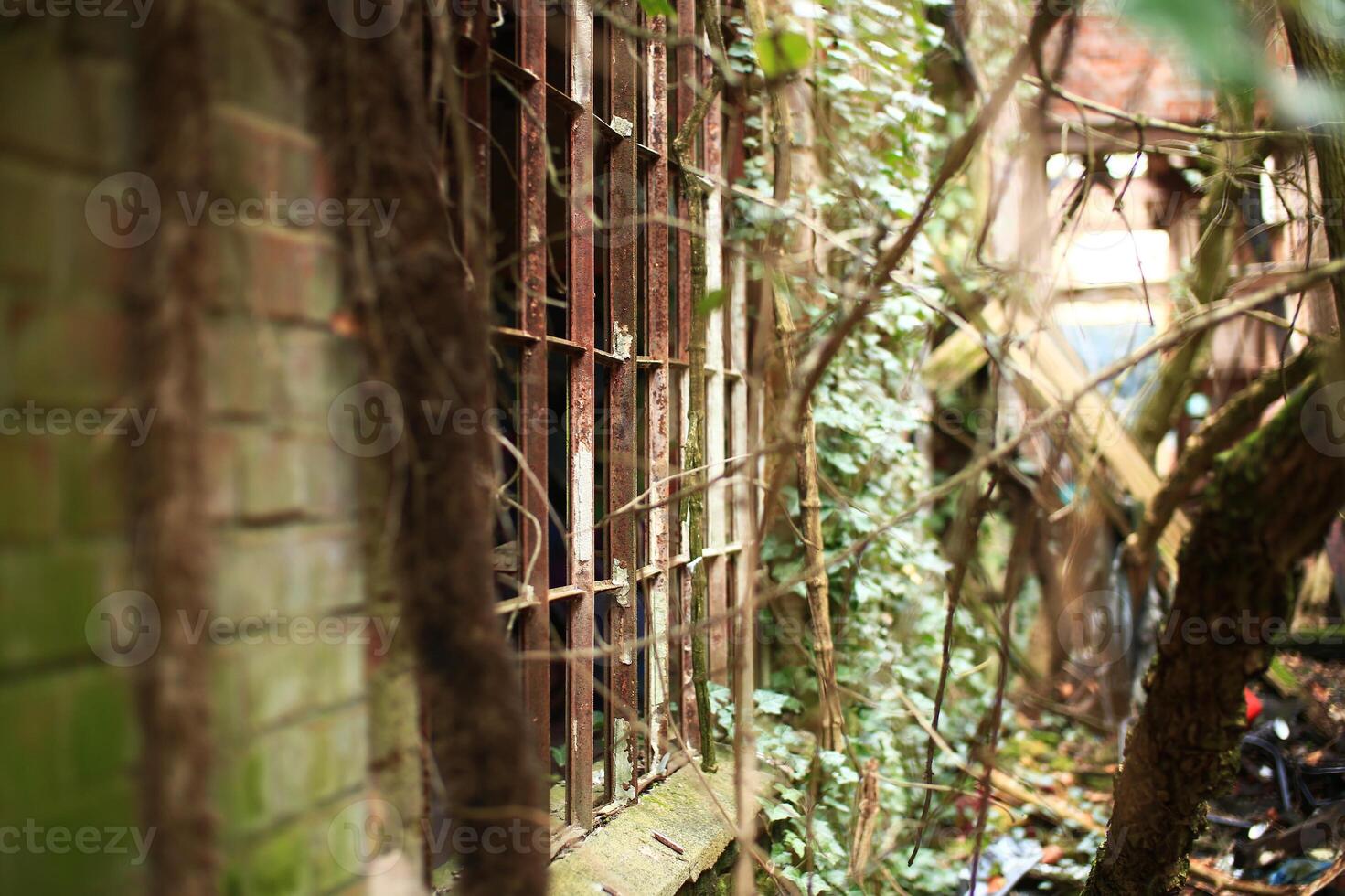Abandoned rusty metal window frames without glass photo