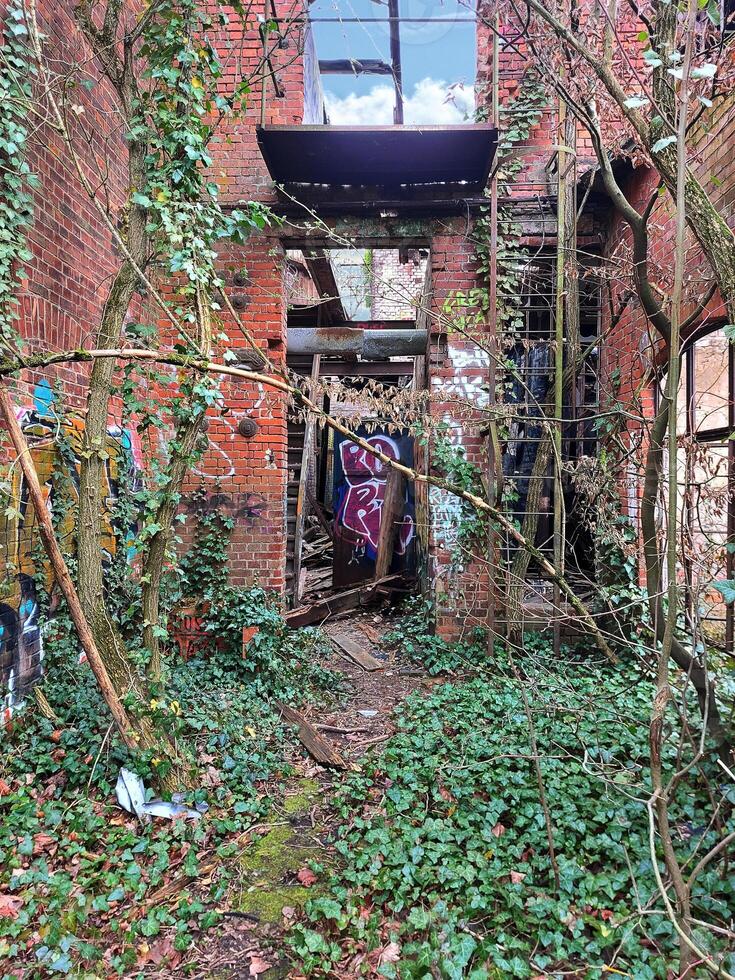 Ladder, platform and passage in a collapsed building photo