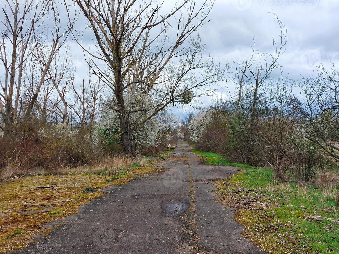 Deserted rural road during overcast spring day photo