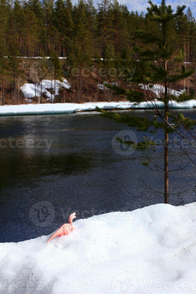 Toy dinosaur standing in the melting snow at riverside in northern Sweden photo