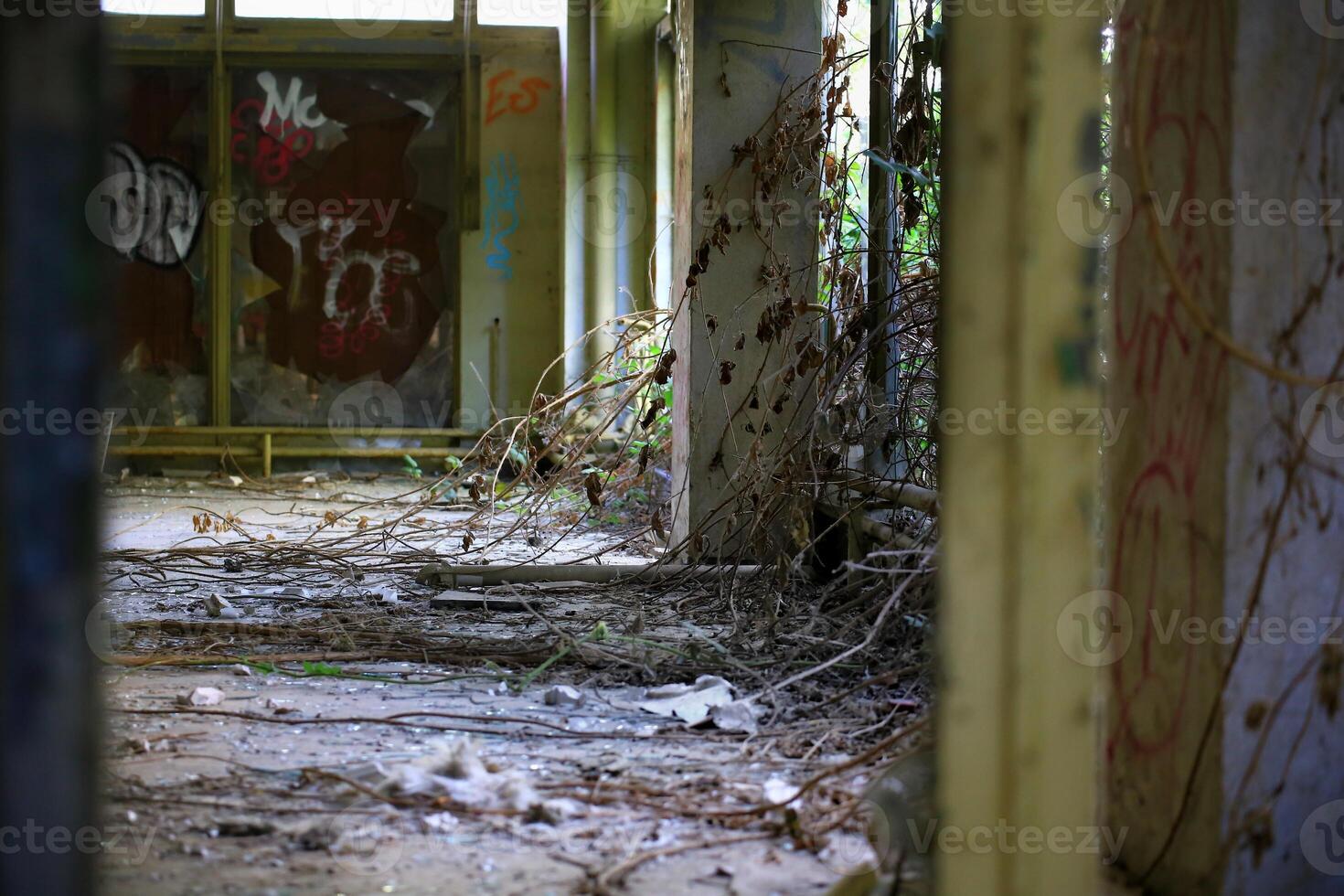 Broken windows and overgrowing branches in abandoned building with graffiti and debris photo