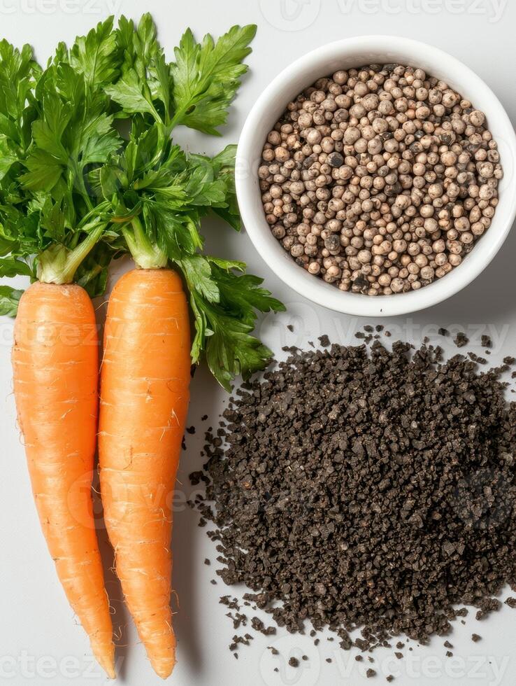 Carrots, soil, and fertilizer. Everything you need to grow healthy carrots photo