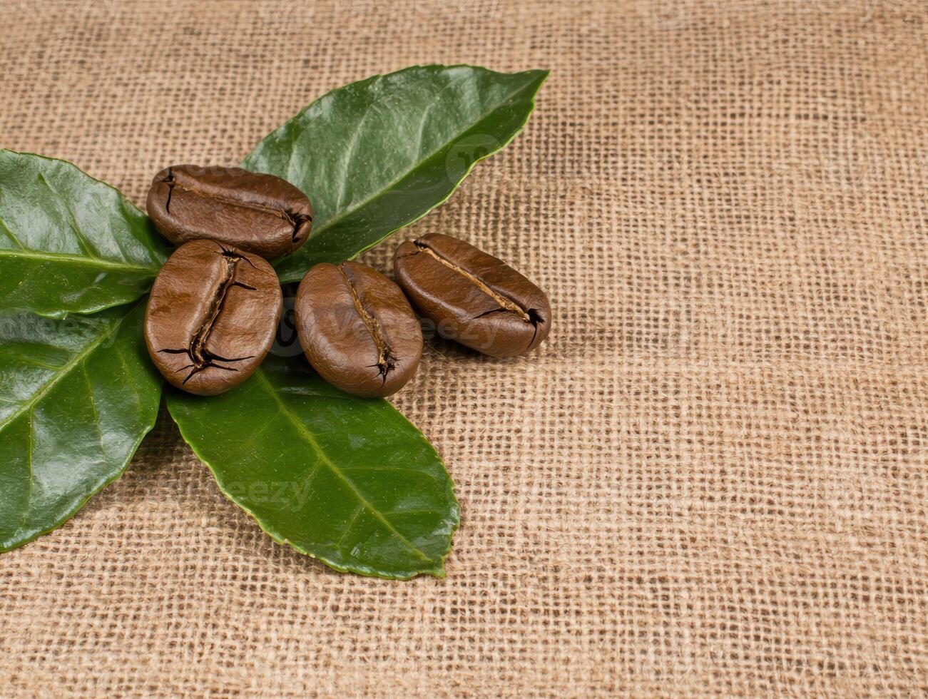 Close up of coffee beans and leaves on burlap background photo