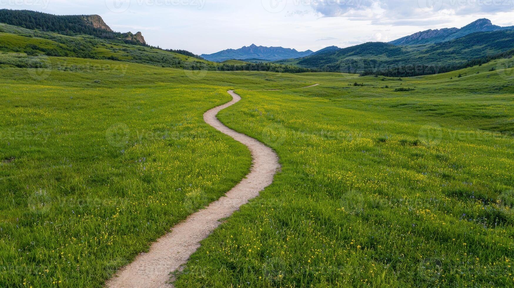 A winding path through a vibrant green meadow leads to majestic mountains in the distance photo