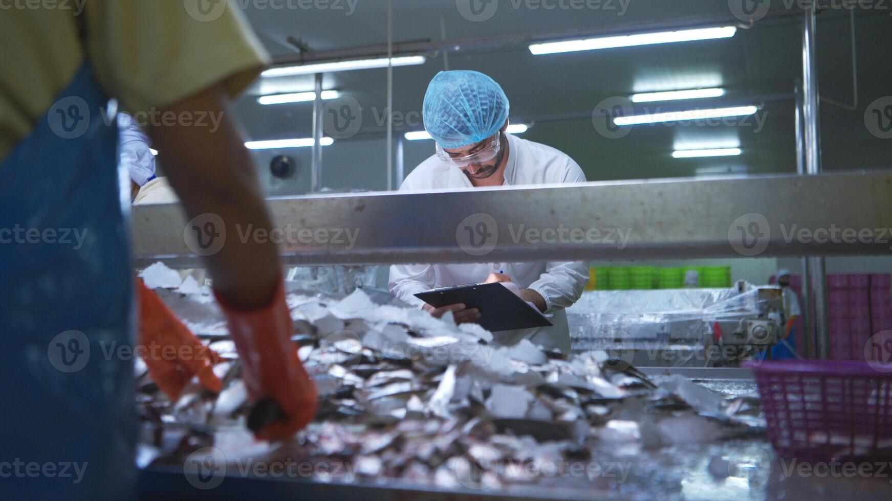 Raw material quality inspectors evaluate and inspect fish pieces before they enter the canned fish production process photo