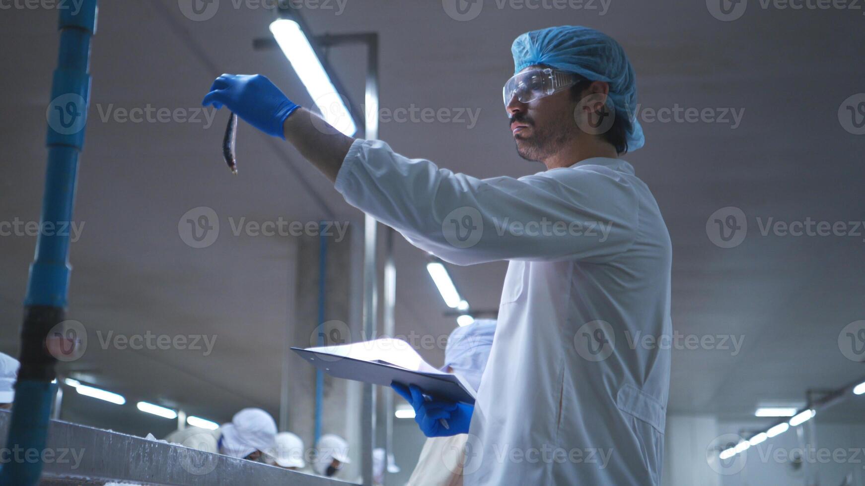 Raw material quality inspectors evaluate and inspect fish pieces before they enter the canned fish production process photo