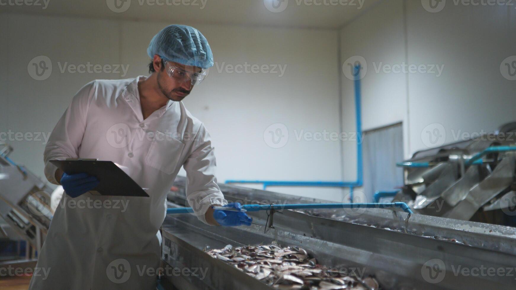 Raw material quality inspectors evaluate and inspect fish pieces