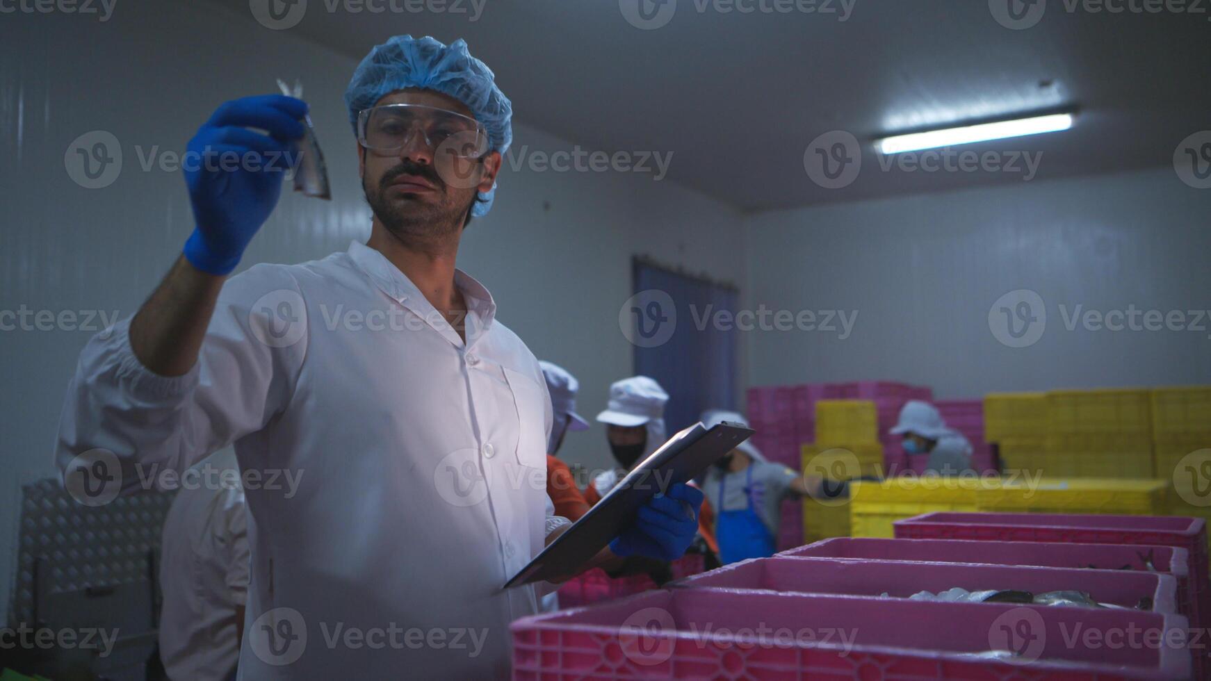 Raw material quality inspectors evaluate and inspect fish pieces before they enter the canned fish production process photo