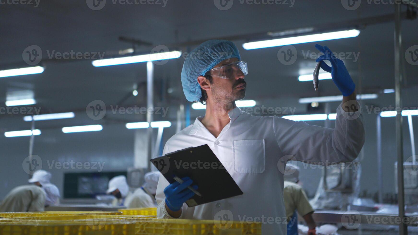 Raw material quality inspectors evaluate and inspect fish pieces before they enter the canned fish production process photo