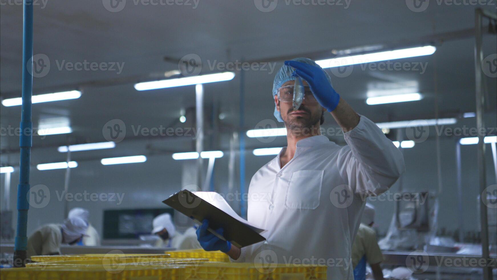 Raw material quality inspectors evaluate and inspect fish pieces before they enter the canned fish production process photo