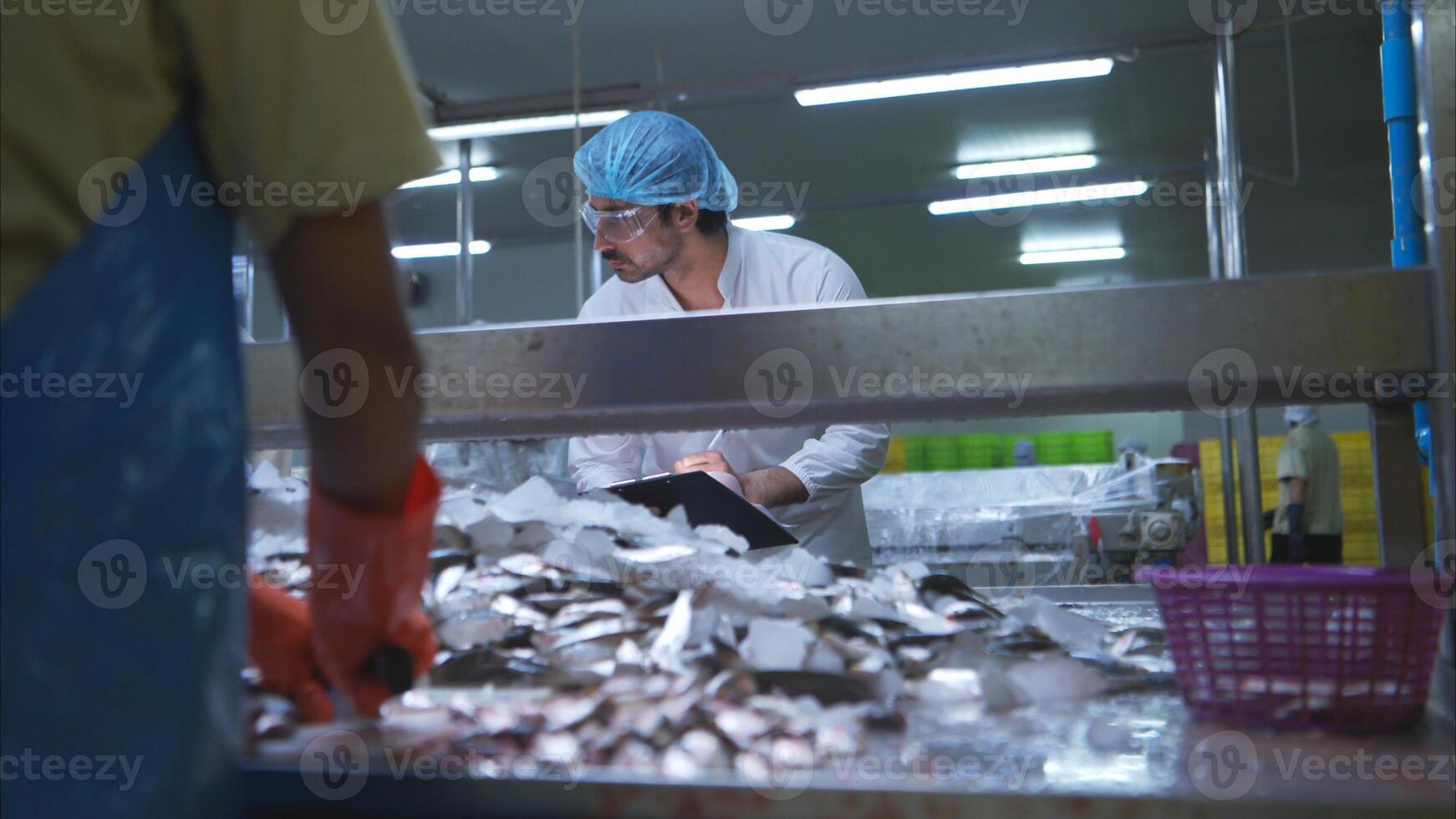 Raw material quality inspectors evaluate and inspect fish pieces before they enter the canned fish production process photo