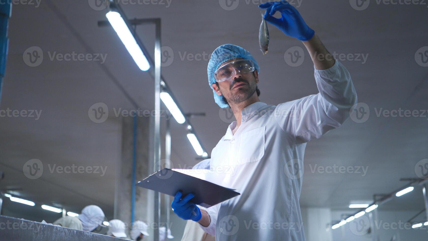 Raw material quality inspectors evaluate and inspect fish pieces before they enter the canned fish production process photo