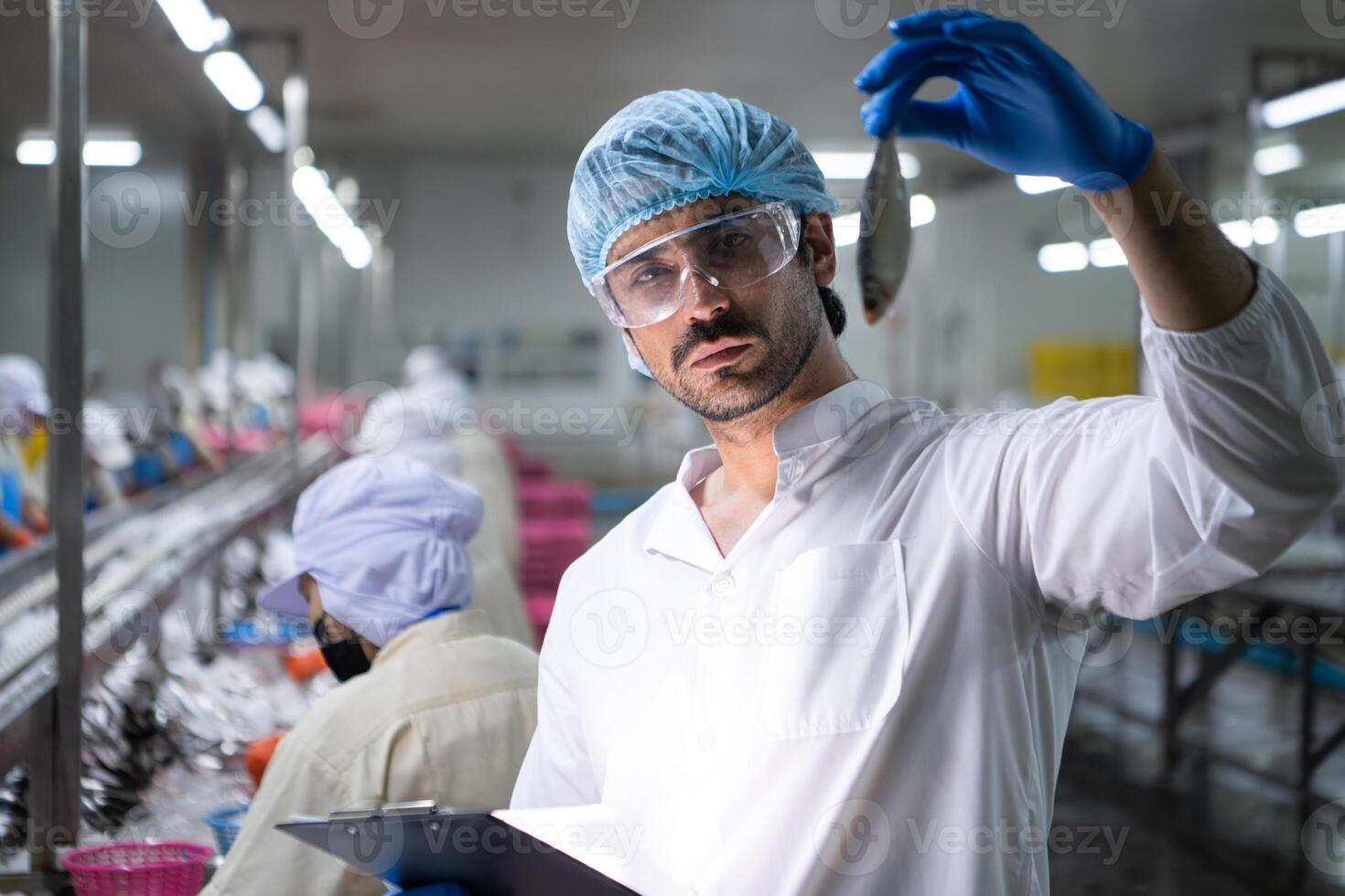 Raw material quality inspectors evaluate and inspect fish pieces before they enter the canned fish production process photo