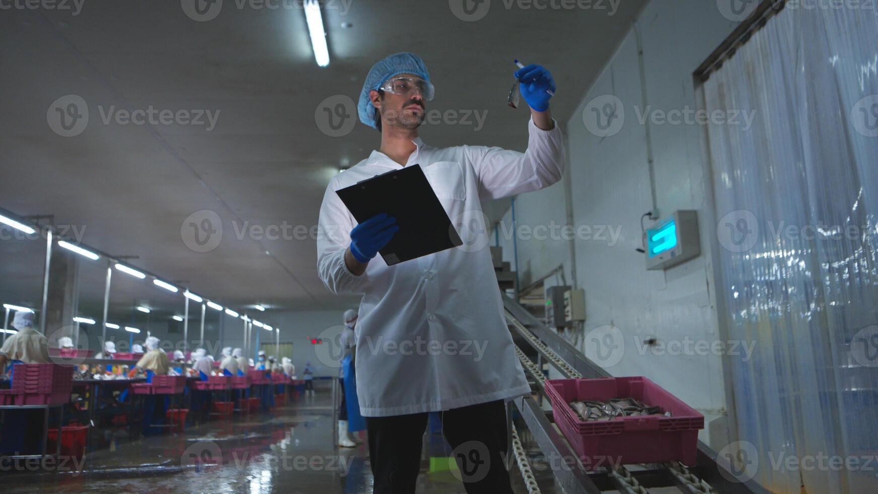 Raw material quality inspectors evaluate and inspect fish pieces before they enter the canned fish production process photo
