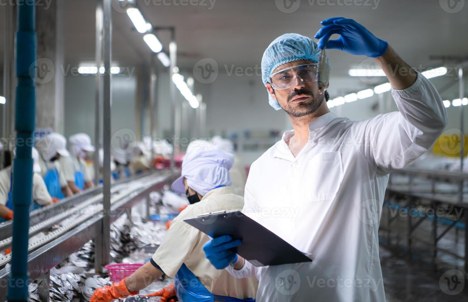 Raw material quality inspectors evaluate and inspect fish pieces before they enter the canned fish production process photo