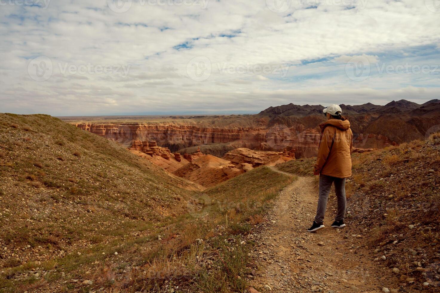 a person standing on a dirt road in the middle of a desert photo