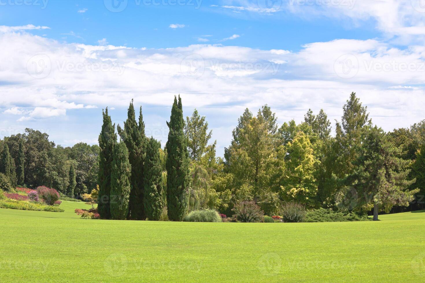 Summer park background photo