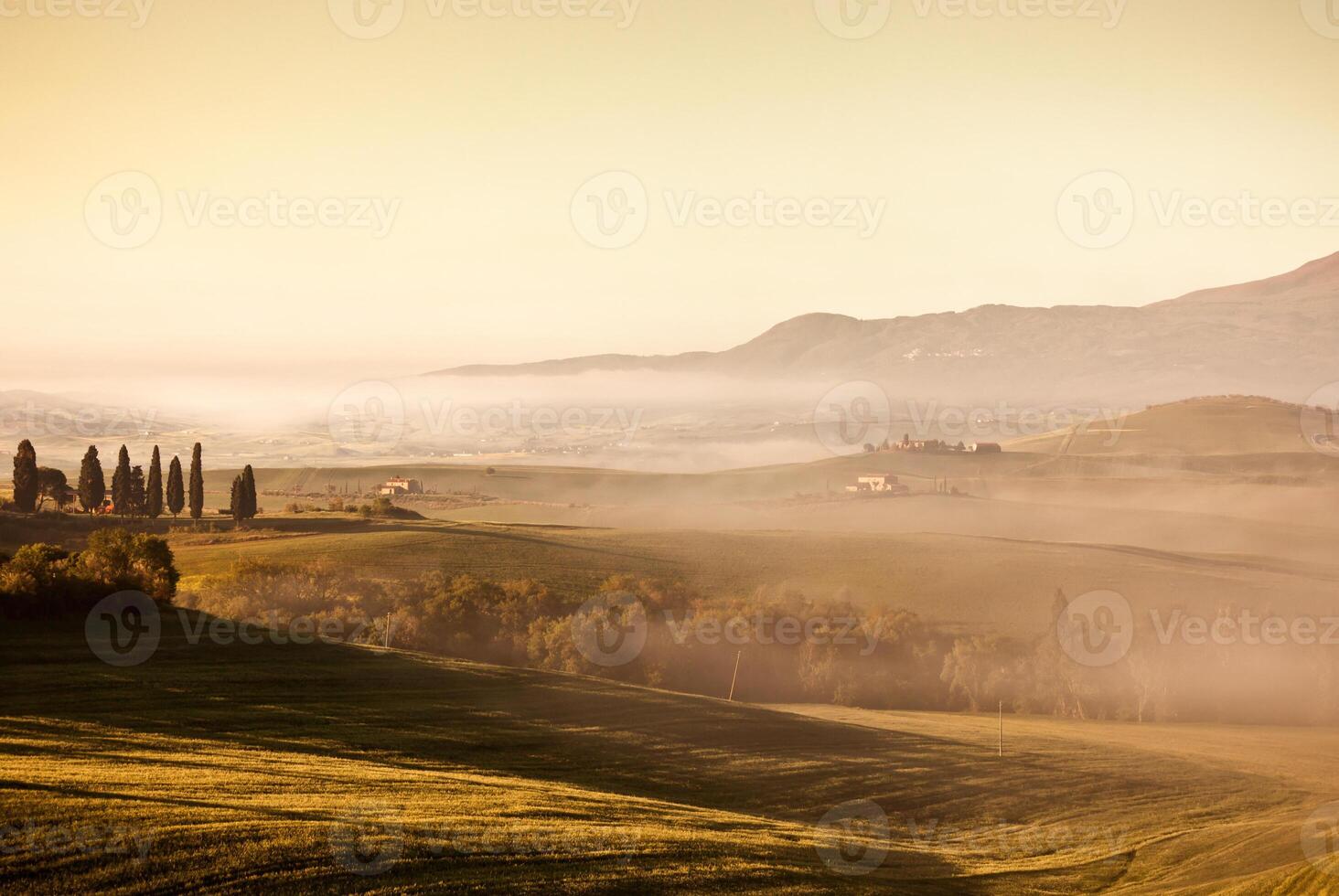 Morning fog view in Tuscany photo