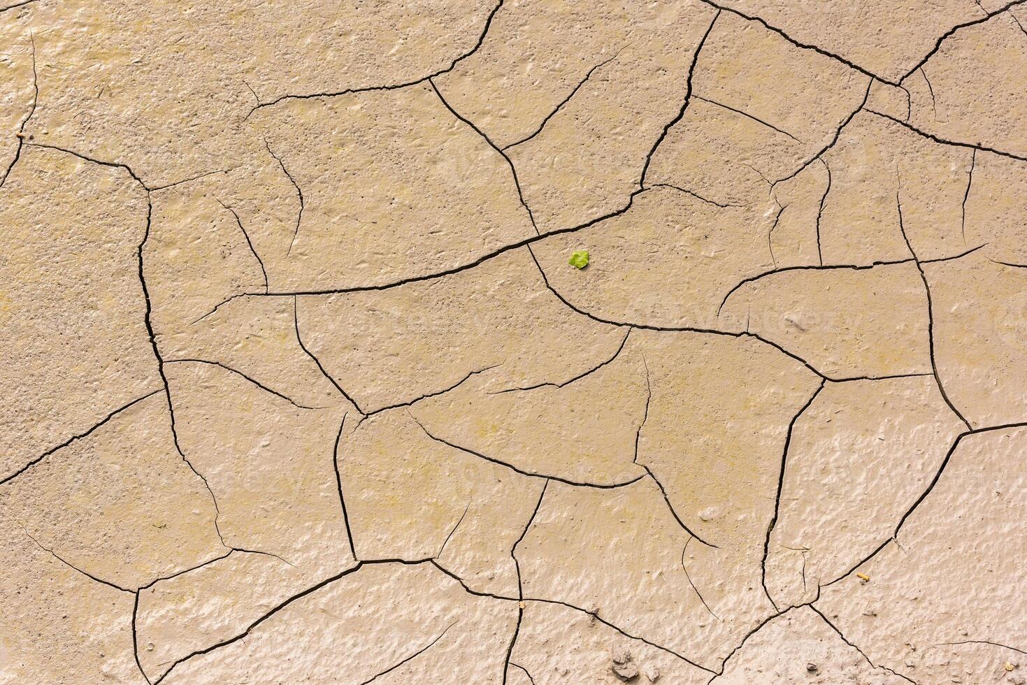 details of a dried cracked seabed photo